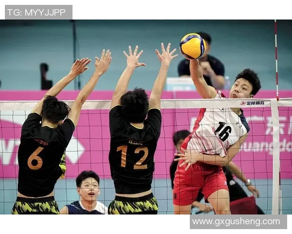 重庆排球队的实力分析与发展潜力探讨