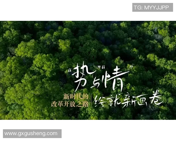 吕俊虎:在新时代背景下的创新与突破之路探讨