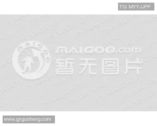 网球装备选购指南：必备护具推荐与使用技巧分享